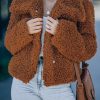 Brown Sherpa Big Collar Cropped Teddy Coat