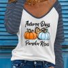 Blue Autumn Pumpkin Graphic Sheer Striped Sleeve Top