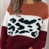 Brown Color Block Leopard Splicing Sweater