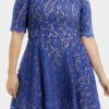 Blue Floral Lace Nude Illusion Plus Size Skater Dress