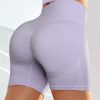 Purple Mesh Insert Butt-lift Sports Shorts