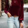 Red Mock Neck Puff Sleeve Velvet Blouse