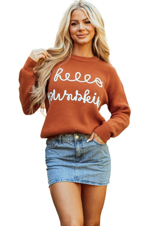 Women's Flamingo Orange Graphic Sweater - Hello Pumpkin Cursive Font