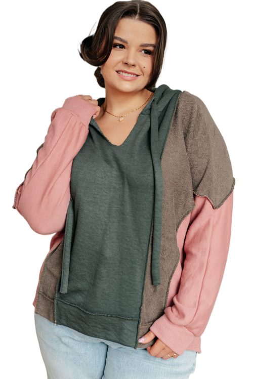 Plus Size Women's Breen Colorblock Patchwork V Neck Hoodie