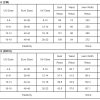 Women's Multicolor Colorblock High Waist Flowing Maxi Dress with Pockets - Image 5