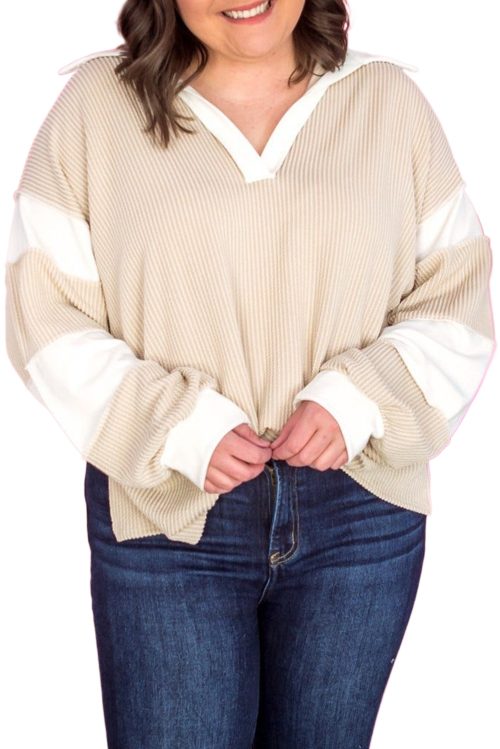 Women's Plus Size Parchment Colorblock Long Sleeve V Neck Top