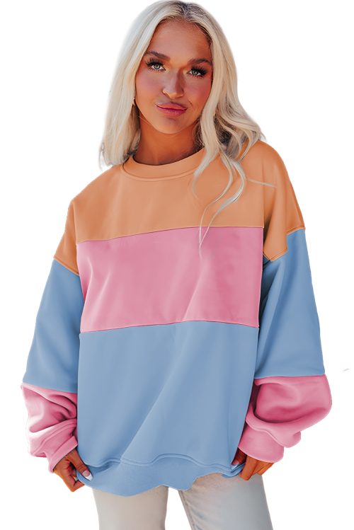 Women's Sky Blue Colorblock Patchwork Drop Shoulder Sweatshirt