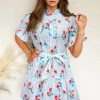 Women's Sky Blue Stripe Floral Ruffle Mini Dress with Belt - Image 13