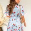 Women's Sky Blue Stripe Floral Ruffle Mini Dress with Belt - Image 12