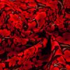 Fiery Red Floral Print Plus Size Shift Top with Ruffle Sleeves - Image 12