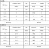 Women's Green Flap Pocket Casual Drawstring Shorts for Summer - Image 4